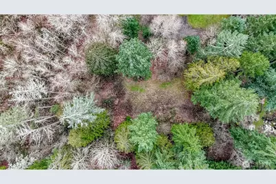 7308 335th Street Ct S, Roy, WA 98580 - Photo 15