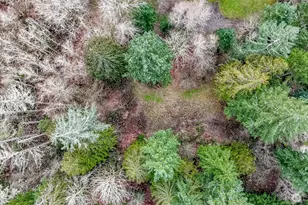 7308 335th St Ct S, Roy, WA 98580 - Photo 15