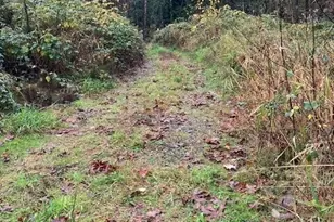 29280 NE 189th St, Duvall, WA 98019 - Photo 7