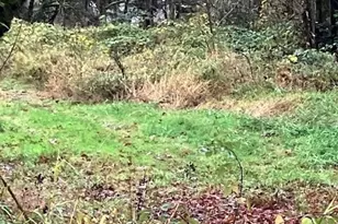 29280 NE 189th St, Duvall, WA 98019 - Photo 1