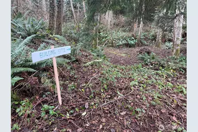 4843 NE Twin Spits Road, Hansville, WA 98340 - Photo 11