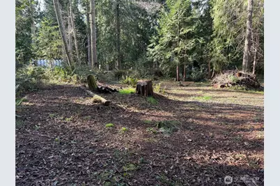 4843 NE Twin Spits Road, Hansville, WA 98340 - Photo 3