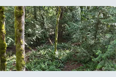 2254 Yew Street Road, Bellingham, WA 98229 - Photo 7