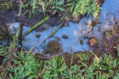 0 Van Wyck, Bellingham, WA 98226 - Photo 31