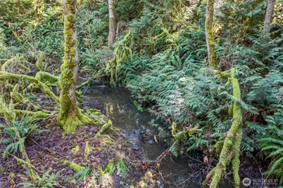 0 Van Wyck, Bellingham, WA 98226 - Photo 33