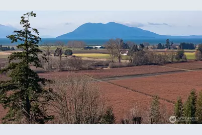 16021 Colony Road, Burlington, WA 98232 - Photo 5