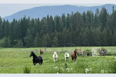 3378 Northport Flat Creek Road, Northport, WA 99141 - Photo 37