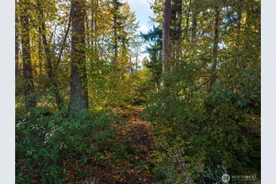 2609 Vining Street, Bellingham, WA 98226 - Photo 37