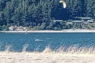 5 W Cape Horn Rd, Cathlamet, WA 98612 - Photo 39