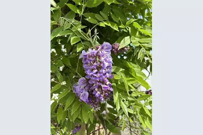 140 E Cedarland Lane, Allyn, WA 98524 - Photo 37