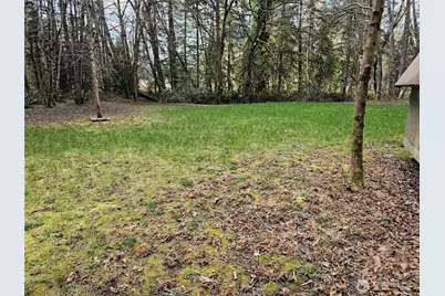 3017 Graf Road, Centralia, WA 98531 - Photo 35