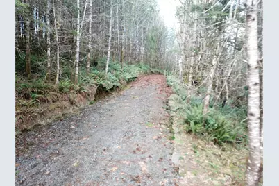 3017 Graf Road, Centralia, WA 98531 - Photo 23