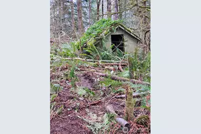 3017 Graf Road, Centralia, WA 98531 - Photo 21