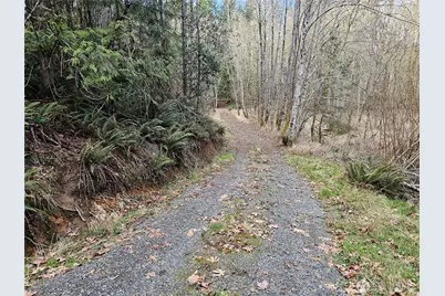 3017 Graf Road, Centralia, WA 98531 - Photo 29