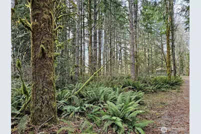 3017 Graf Road, Centralia, WA 98531 - Photo 37