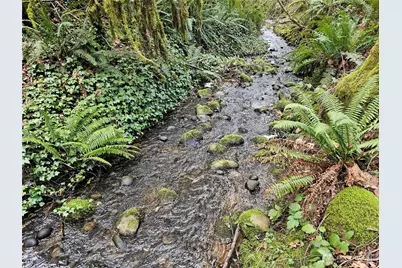 3017 Graf Road, Centralia, WA 98531 - Photo 5