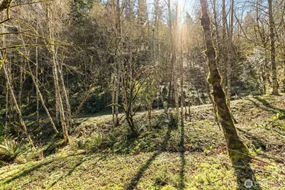 0 NE 5th Street, Washougal, WA 98671 - Photo 3