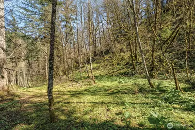 35034 NE 5th Street, Washougal, WA 98671 - Photo 5