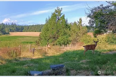 3295 Hastings Avenue, Port Townsend, WA 98368 - Photo 21