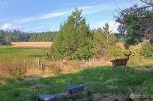 3295 Hastings Ave, Port Townsend, WA 98368 - Photo 21