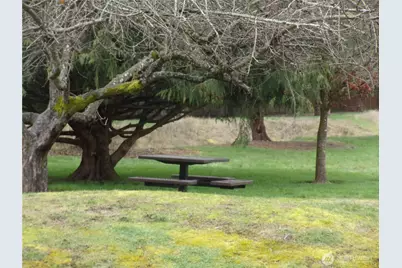 10509 Yelm Terra Street SE, Yelm, WA 98597 - Photo 23