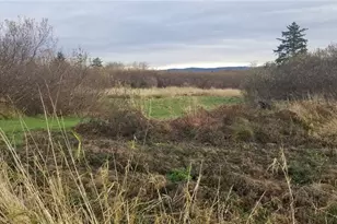 254 Stringtown Rd, Ilwaco, WA 98624 - Photo 1