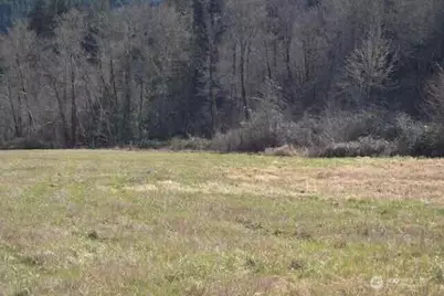 0 US Hwy. 12, Morton, WA 98356 - Photo 11