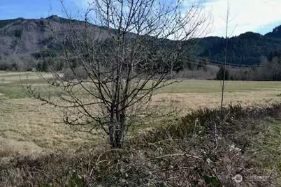 0 US Hwy. 12, Morton, WA 98356 - Photo 21