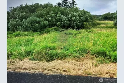 258 Stringtown Road, Ilwaco, WA 98624 - Photo 3