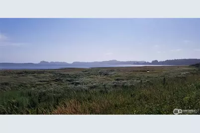 258 Stringtown Road, Ilwaco, WA 98624 - Photo 7