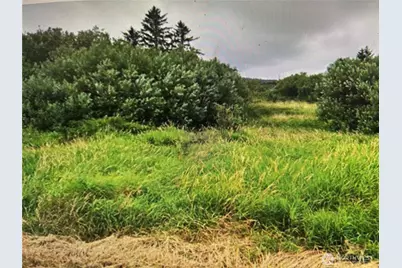 258 Stringtown Road, Ilwaco, WA 98624 - Photo 1