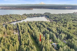 11001 Pioneer Dr, Anderson Island, WA 98303 - Photo 35