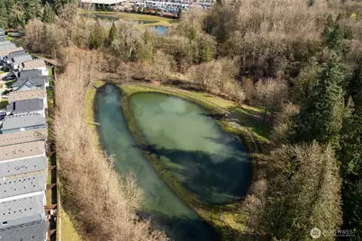 1203 S Union Place, Ridgefield, WA 98632 - Photo 29