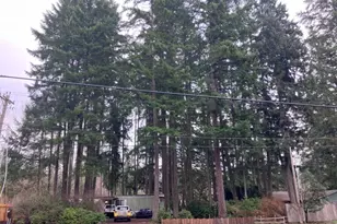 13115 140th Ave NW, Gig Harbor, WA 98329 - Photo 1