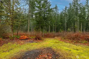 31444 172nd Ave SE, Auburn, WA 98092 - Photo 33