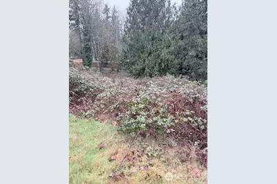 14708 SE 145th Place, Renton, WA 98059 - Photo 3