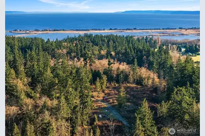 2150 Newman Road, Langley, WA 98260 - Photo 5