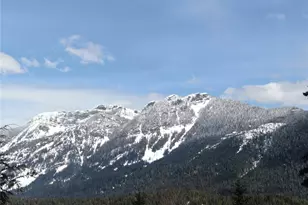 91 Arlberg Pl, Snoqualmie Pass, WA 98068 - Photo 1