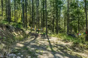 8325 Taber Rd, Cashmere, WA 98815 - Photo 1