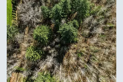 8700 255th Avenue NE, Redmond, WA 98053 - Photo 21