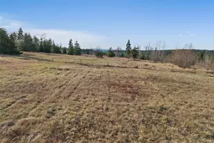 44010 14th Ave E, Eatonville, WA 98328 - Photo 9