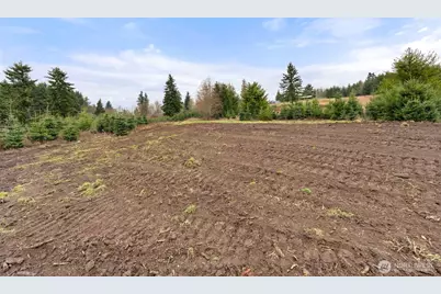 177 Starlight Drive, Onalaska, WA 98533 - Photo 9