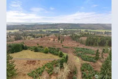 177 Starlight Drive, Onalaska, WA 98533 - Photo 19