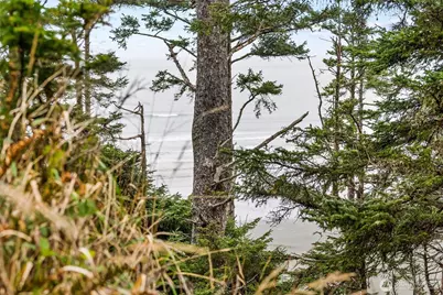 14 Chauncey Lane W, Pacific Beach, WA 98571 - Photo 29