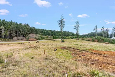 14 Chauncey Lane W, Pacific Beach, WA 98571 - Photo 19