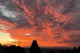 13635 SE 43rd St, Bellevue, WA 98006 - Photo 35