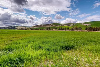 633 Lower Hogeye Road, Waitsburg, WA 99361 - Photo 35