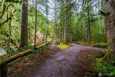 10500 Mt Baker Hwy #906, Deming, WA 98244 - Photo 37