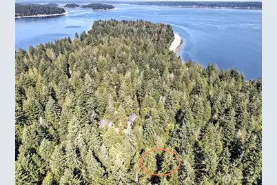 639 E Pitcairn Place, Shelton, WA 98584 - Photo 29