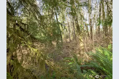 0 W Belfair Valley Road, Bremerton, WA 98312 - Photo 3